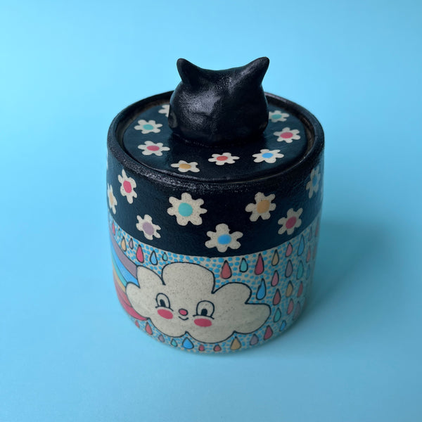 Ceramic Wheel Thrown Jar Rainbow Cloud Cat 12.5oz